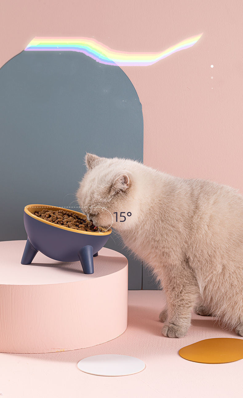 Cat Dog Bowl With Stand Pet Feeding Food