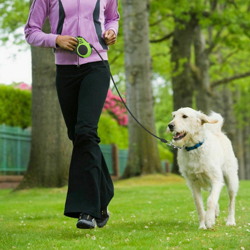 Automatic Retractable Pet Leash